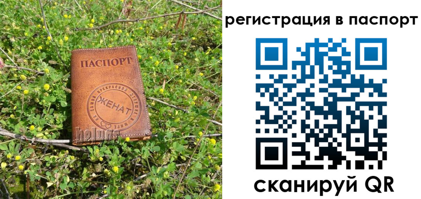 прописка законно в России